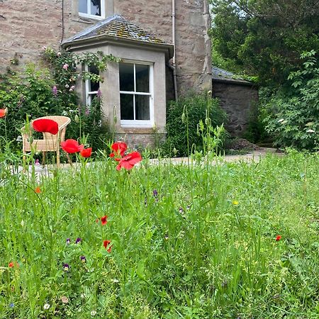 Organic Welltree Bed and Breakfast Saint Martins  Exteriör bild