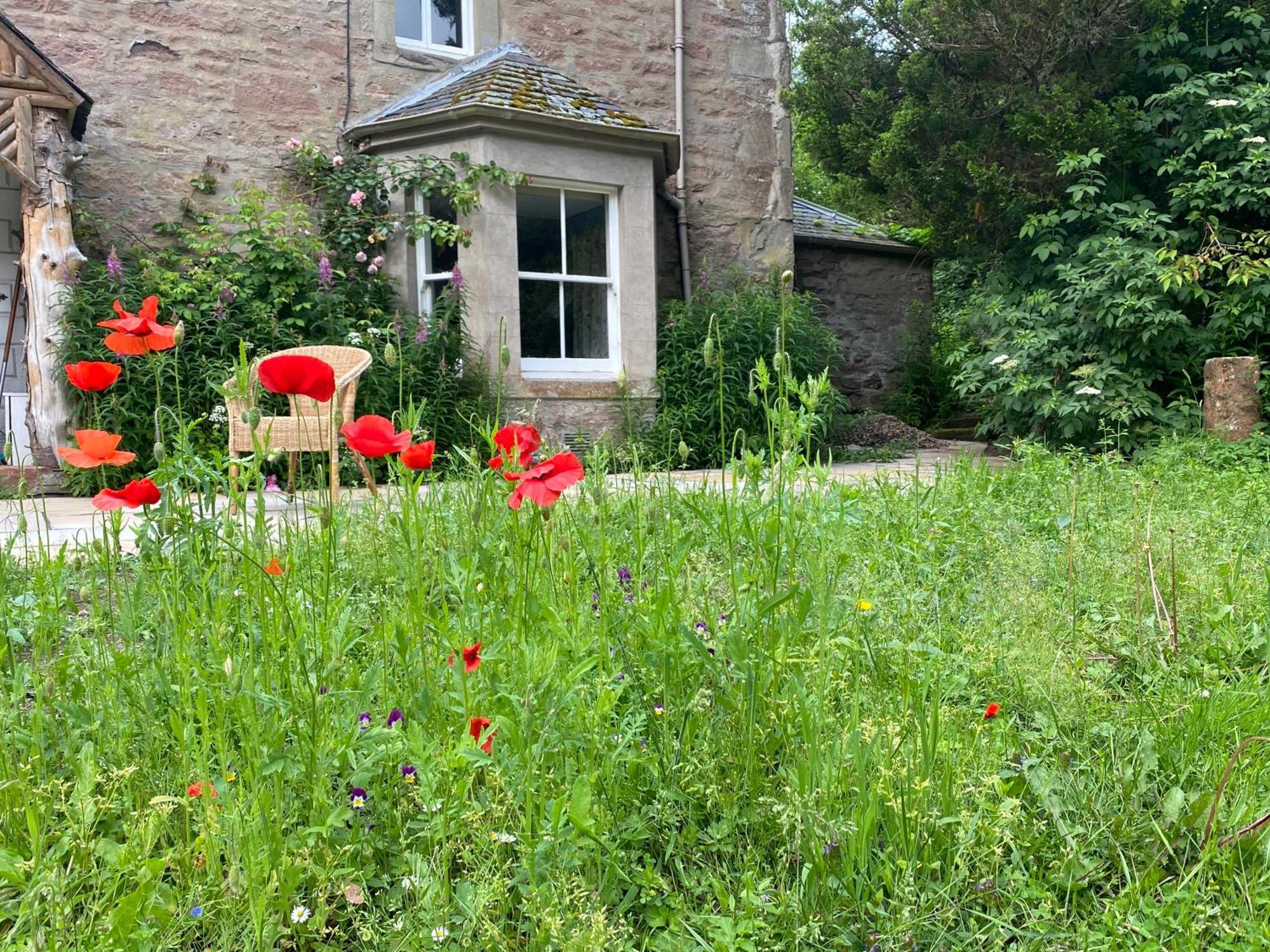 Organic Welltree Bed and Breakfast Saint Martins  Exteriör bild